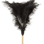 FEATHER DUSTER